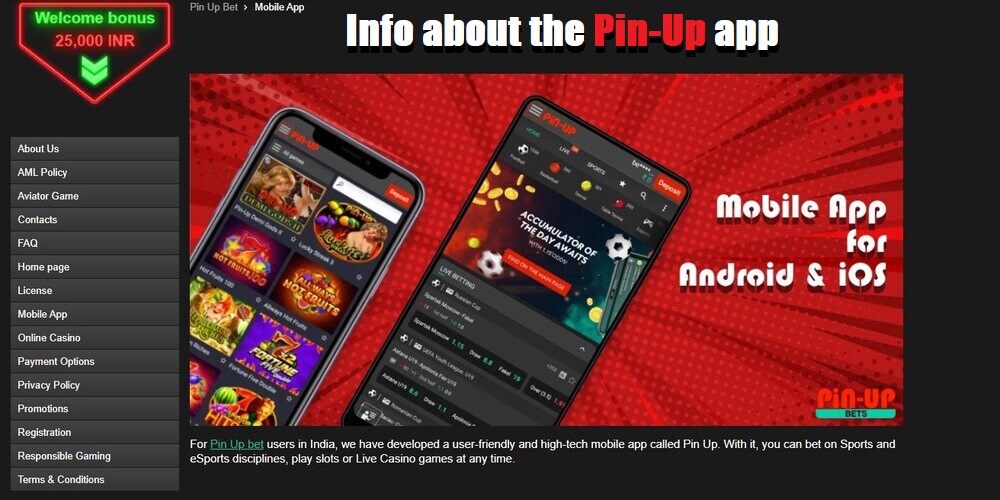Overview of the latest version of Pin-Up Bet mobile app for Indian players