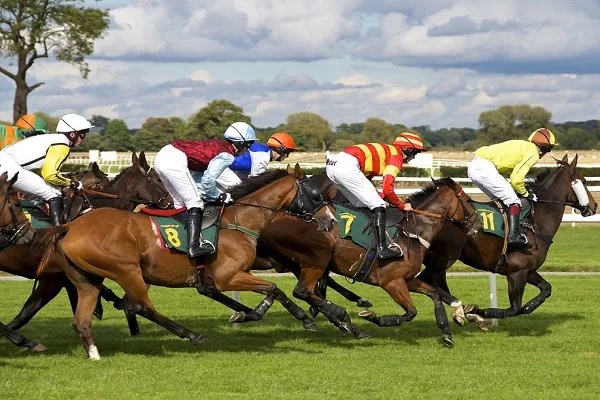 How To Beat The Bookies With These Horse Race Betting Strategies