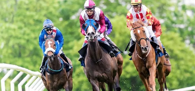 A beginners’ guide to horse racing betting: top tips