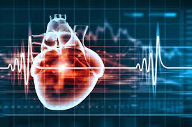 Prioritizing Heart Health: The Importance of Regular Heart Checkups